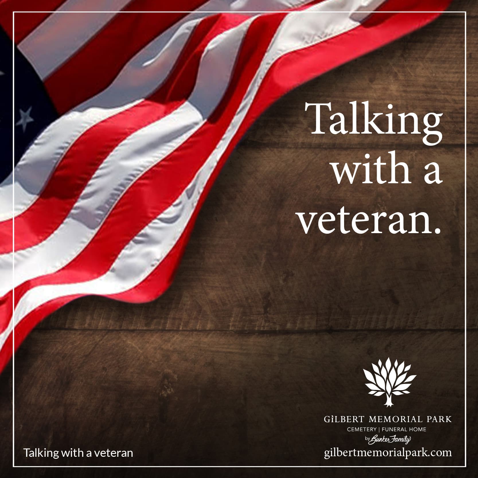 Talking with a Veteran