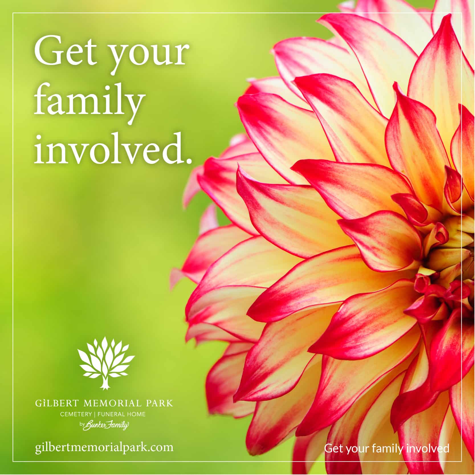 Get Your Family Involved in Funeral Planning