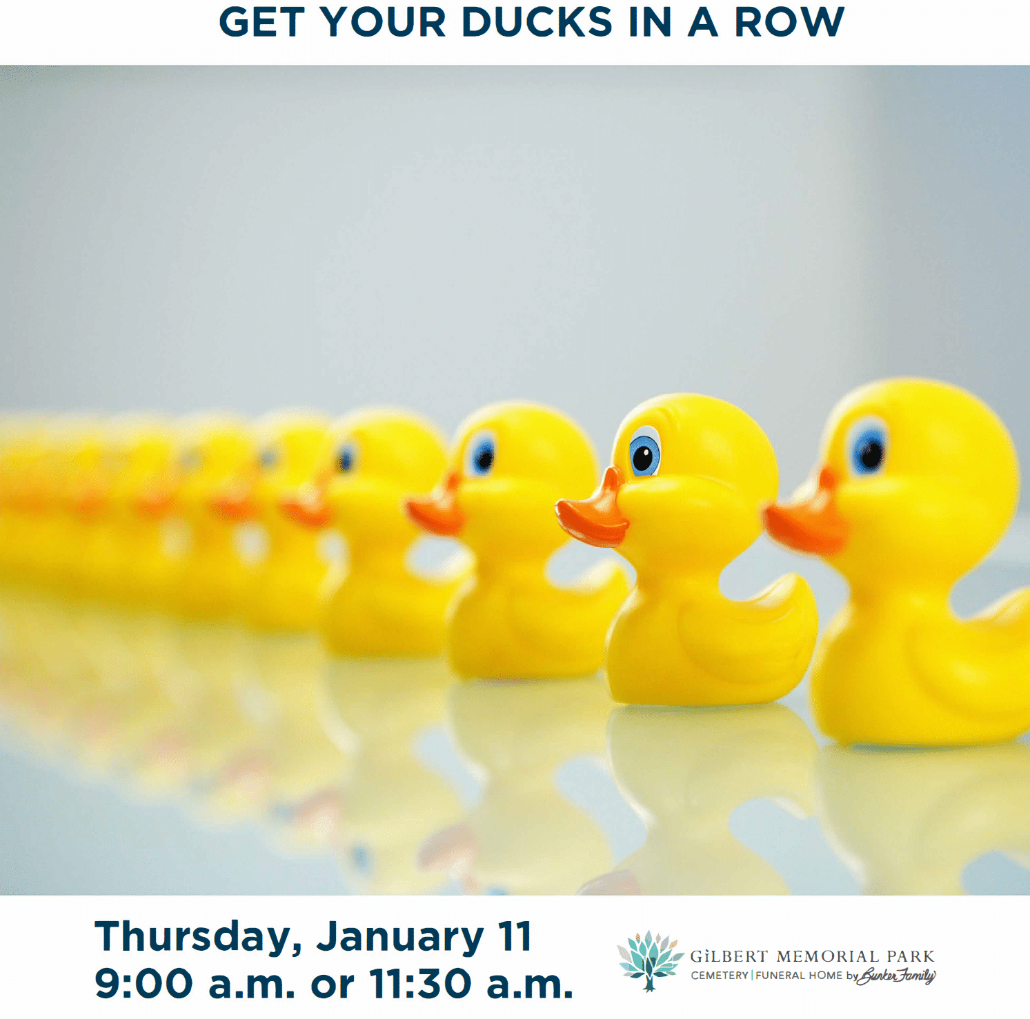 You're Invited to Get Your Ducks in a Row - January Seminar