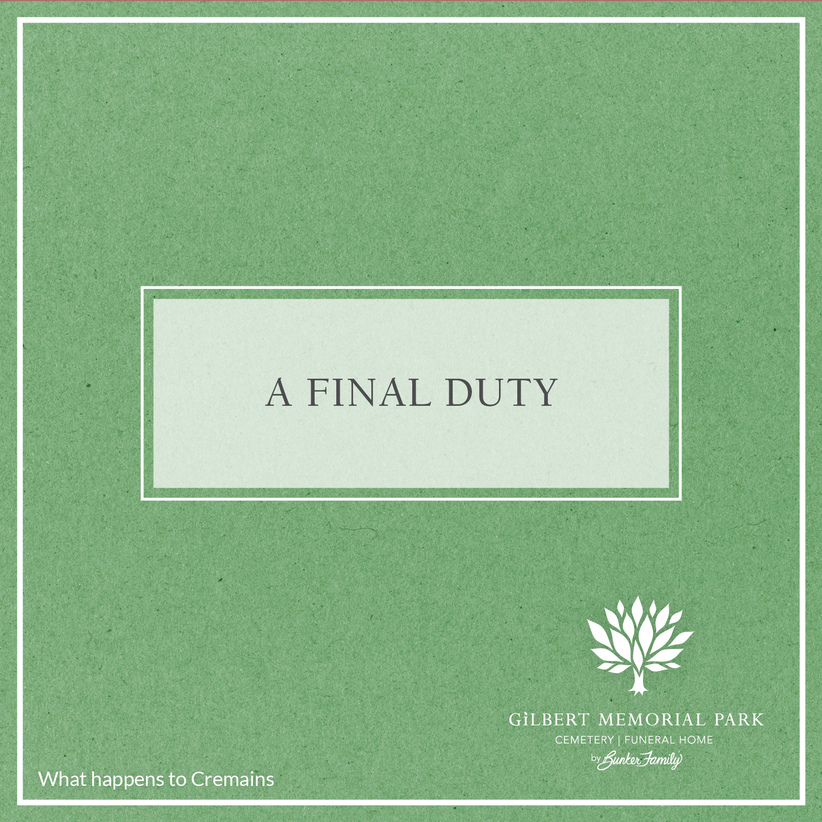 What Do You Do with Cremated Remains?