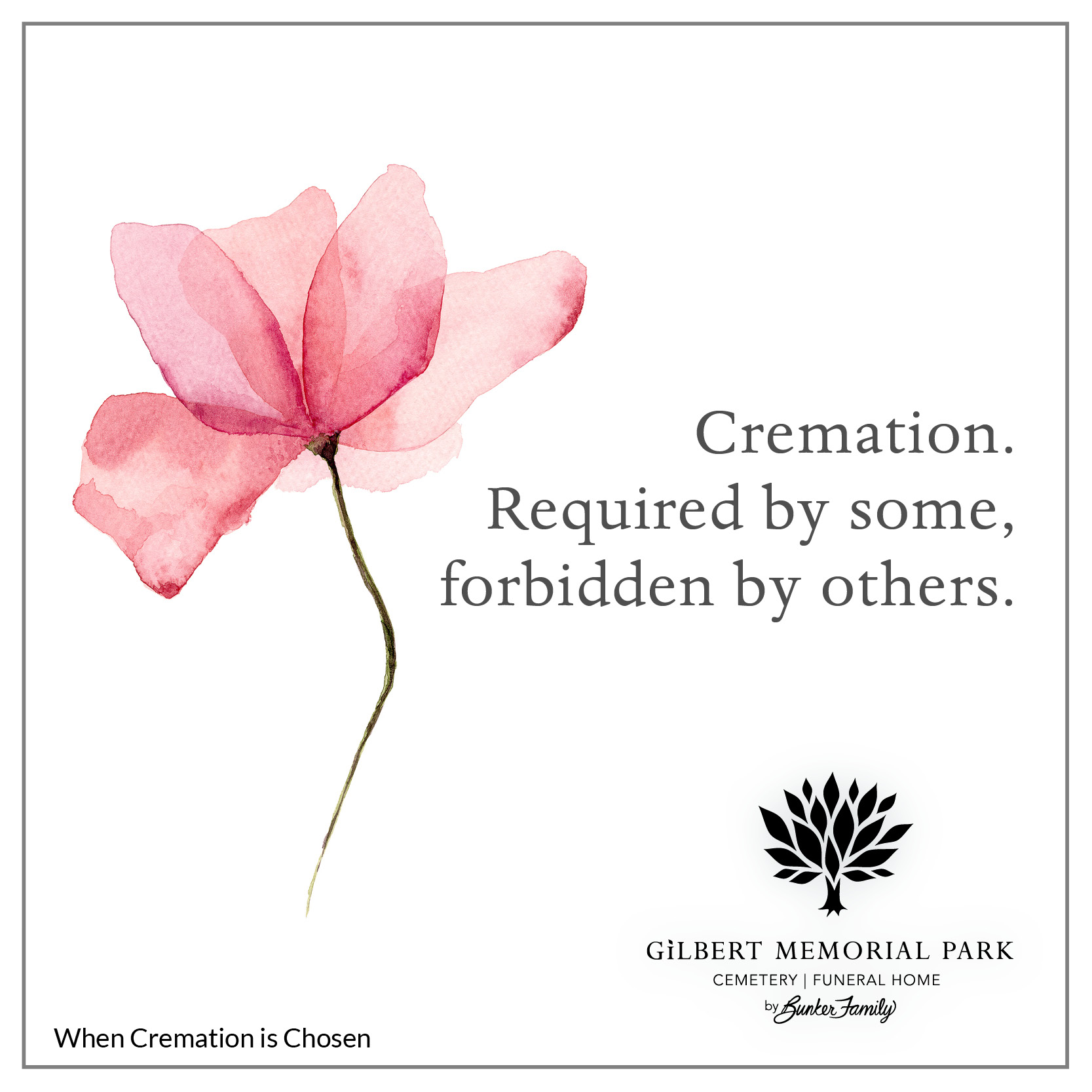 What To Expect with Cremation?