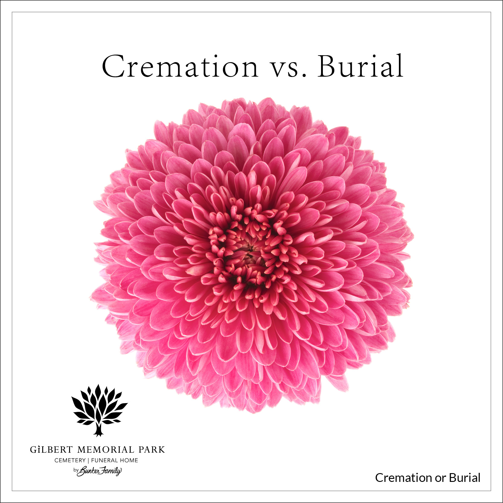 Cremation or Burial… Is That the Question?
